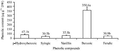 Image for - Antioxidant Activity of Phenolic Rich Fraction Obtained from Convolvulus arvensis L. Leaves Grown in Egypt