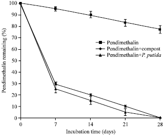 Image for - Effect of Phytotoxicity of Pendimethalin Residues and its Bioremediation on Growth and Anatomical Characteristics of Cucumis sativus and Echinochloa crus-galli Plants