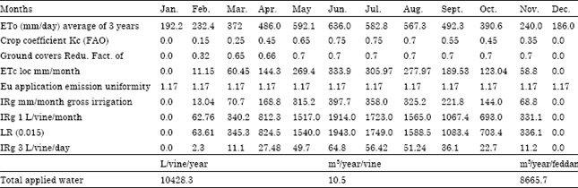Image for - Promoting Irrigation Water Utilization Efficiency in Superior Vineyards