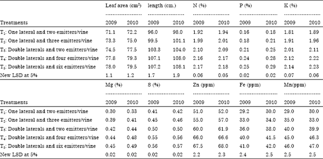 Image for - Promoting Irrigation Water Utilization Efficiency in Superior Vineyards