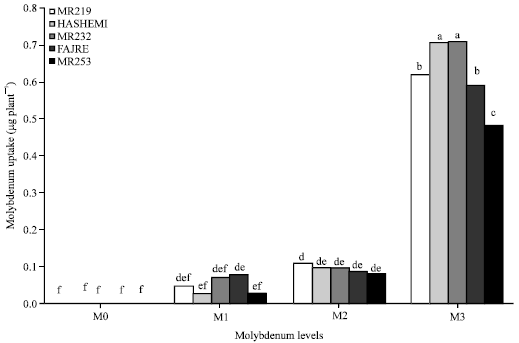 Image for - Effects of Different Levels of Molybdenum on Uptake of Nutrients in Rice Cultivars