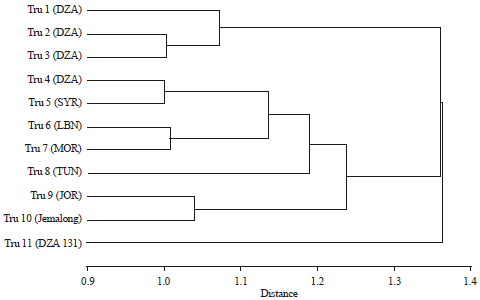 Image for - Effect of Salinity Stress on Seedling Development of Different Ecotypes of the Model Legume Medicago truncatula