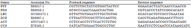 Image for - Expression of Carotenoid Pathway Genes in Three Capsicum Varieties under Salt Stress