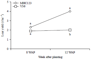 Image for - Planting Density Effects on Feed and Fibre Yield of Two Kenaf (Hibiscus cannabinus L.) Varieties in Malaysia