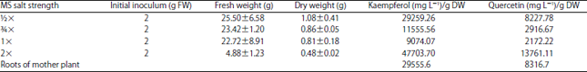 Image for - Biomass and Flavonoid Production of Gynura procumbens Adventitious Roots Influenced by MS Salt Strength and Nitrogen Source in a Balloon-type Bubble Bioreactor