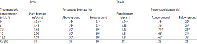 Image for - Exogenous Auxin Role on Shallot (Allium cepa Var Aggregatum) Growth