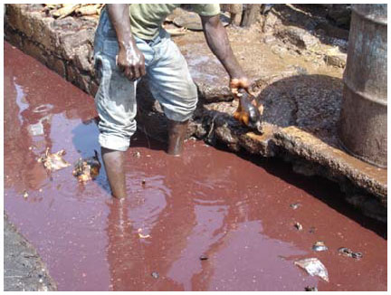 Image for - Knowledge, Attitudes, Risk Factors and Practices (KARP) that Favor Leptospira Infection among Abattoir Workers in North Central Nigeria