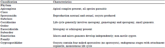 Image for - Cryptosporidiosis in Animals and Man: 1. Taxonomic Classification, Life Cycle, Epidemiology and Zoonotic Importance
