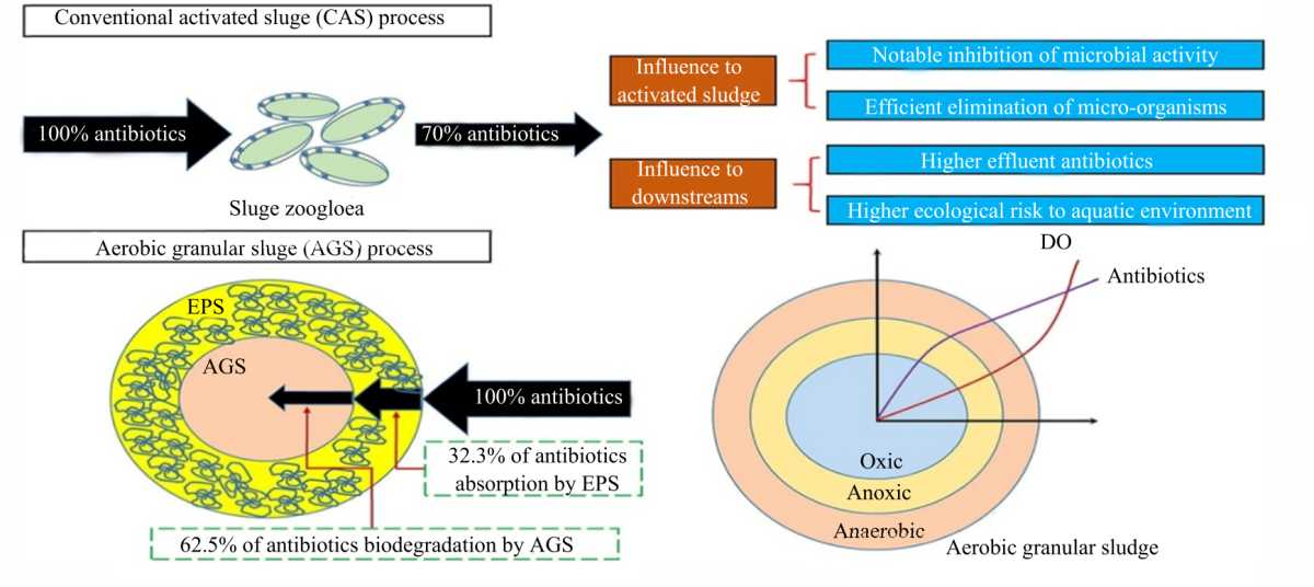 Image for - Risk Assessment of Antibiotic Resistance Correlated with Antibiotic Residues in the Environment