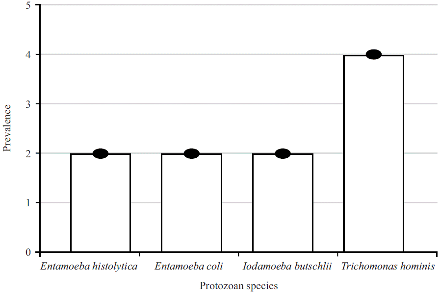 Image for - Prevalence of Gastrointestinal Protozoans Infections Amongst Patients Attending the Bamenda Regional Hospital