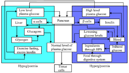 Image for - Stochastic Modeling of Blood Glucose Levels in Type-2 Diabetes Mellitus