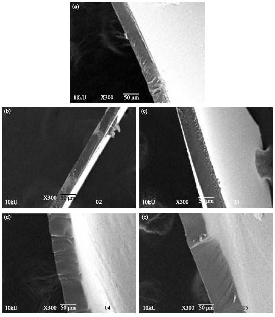 Image for - Preparation of Flexible Silk Fibroin Films Plasticized with Glucose