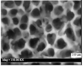 Image for - A Novel Process to Produce Nano Porous Aluminum Oxide Using Alkaline Sodium Phosphate Electrolyte