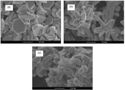 Image for - Comparison of the Structural and Morphological Properties of Sn Doped ZnO 
  Films Deposited by Spray Pyrolysis and Chemical Bath Deposition