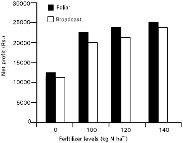 Image for - Effect of Foliar vs. Broadcast Application of Different Doses of Nitrogen on Wheat