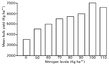 Image for - Effect of Nitrogenous Fertilizer on Growth and Yield of Garlic