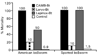 Image for - Comparative Study of Bacillus thuringiensis Biopesticides Against Cotton Bollworms