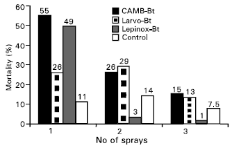 Image for - Comparative Study of Bacillus thuringiensis Biopesticides Against Cotton Bollworms