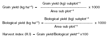 Image for - Yield and Yield Components of Various Wheat Cultivars as Affected by Different Sowing Dates