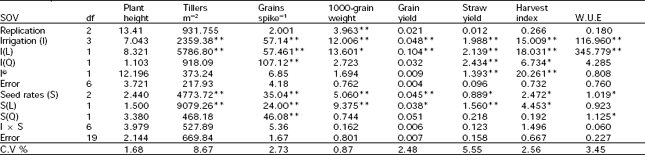 Image for - Scheduling Irrigation in Wheat Grown at Different Seed Rates
