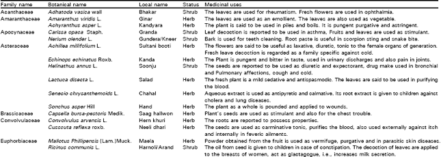 Image for - Medicinal Uses of Plants with Particular Reference to the People of Dhirkot. Azad Jammu and Kashmir