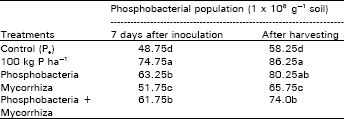 Image for - Response of Phosphobacterial and Mycorrhizal Inoculation in Wheat