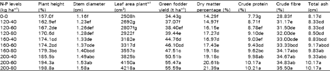 Image for - Response of Maize (Zea mays L.) Fodder to Different Levels of Nitrogen and Phosphorus