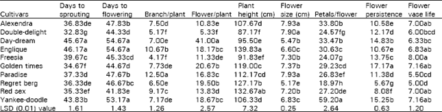 Image for - Evaluation of Rose Cultivars as Cut Flower Production