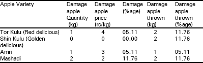 Image for - Post Harvest and Cold Storage Losses in Apple of Balochistan