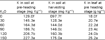 Image for - Response of Wheat to Applied Soil Potassium