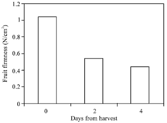 Image for - Influence of Drip Irrigation Schedule and Mulching Material on Yield and Quality of Greenhouse Tomato (Lycopersicon esculentum Mill. ‘Money Maker’)
