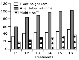 Image for - Response of Potato Crop to Various Levels of NPK