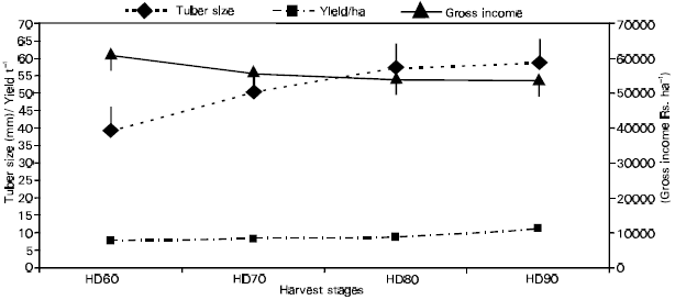 Image for - Yield and Nutrients Profile of Potato Tubers at Various Stages of Development
