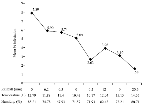 Image for - Infestation Trend of Odontotermes obesus (Rambur) on Wheat Crop (Triticum aestivumlinnaeus) in Rainfed Conditions