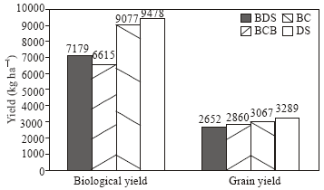Image for - Effects of Different Planting Methods on Yield and Yield Components of Wheat