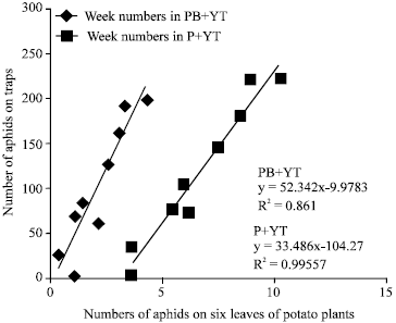 Image for - Effects of Two Potential Pest Management Components, Intercropping and Yellow Sticky PlasticSheet Traps in Two Differentially Resistant Potato Cultivars for the Management of Myzus persicae(Sulzer)