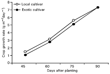 Image for - Biomass Production and Growth Rates at Different Phenophases of Garlic as Influenced by Natural and Synthetic Mulches