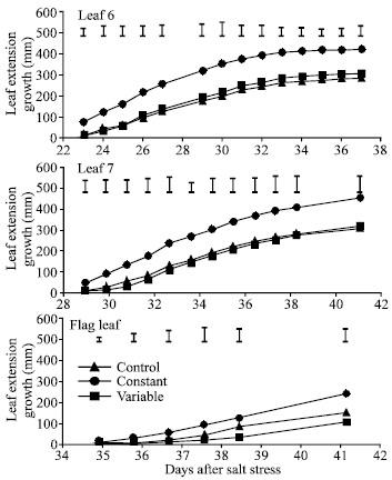 Image for - Effect of Constant and Changing Salinity Environment on Different Growth Parameters in Spring Wheat