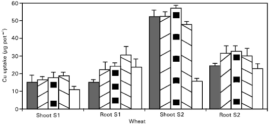 Image for - Zinc Nutrition of Wheat: II: Interaction of Zinc with other Trace Elements