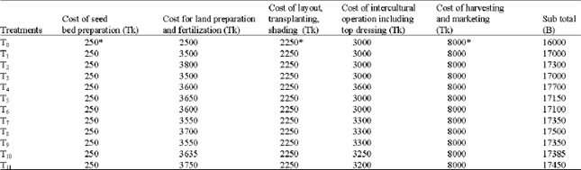 Image for - Profitability of Cabbage Production as Main and Ratoon Crop