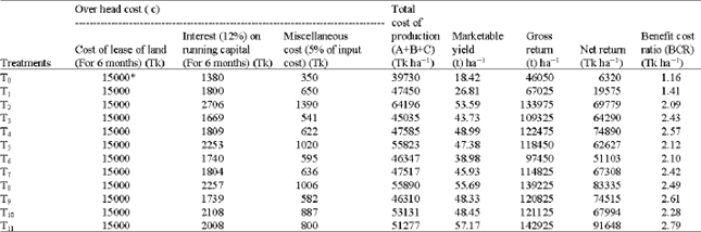 Image for - Profitability of Cabbage Production as Main and Ratoon Crop