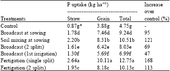 Image for - Performance of Fertigation Technique for P Usage Efficiency in Wheat