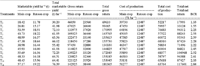 Image for - Profitability of Cabbage Production as Main and Ratoon Crop