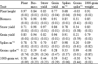 Image for - Performance of Recently Released Wheat Cultivars