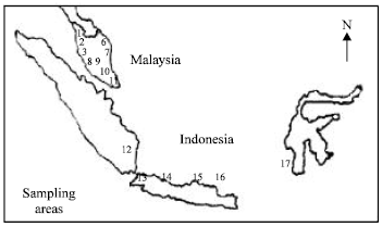 Image for - Genetic Diversity of Echinohloa Crus-galli Var. Crus-galli (L.) Beauv (Barnyardgrass: Poaceae) Ecotypes in Malaysia and Indonesia as Revealed by RAPD Markers