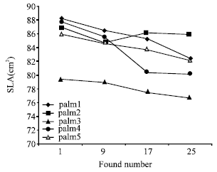 Image for - Determination of Specific Leaf Area and Leaf Area-leaf Mass Relationship in Oil Palm Plantation
