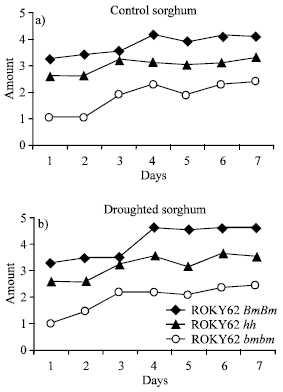 Image for - The Effects of Epicuticular Wax Cover on the Rate of Water Loss of Sorghum bicolor (L.) Moench