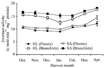 Image for - Seasonal Fluctuations of Some Sucrose Metabolizing Enzymes and Sugar and Organic Acid Contents in Broccoli
