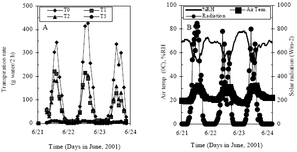 Image for - Periodic Drought Stress Effect on Evapotranspiration, Root Hydraulic Conductance and Fruit Yield Efficiency of Eggplant