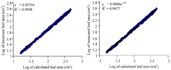 Image for - Regression Model for Computing Leaf Area and Assessment of Total Leaf Area Variation with Frond Ages in Oil Palm
